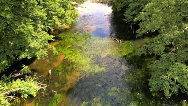 rzeka Brda w okolicach Tucholi, widok z drona