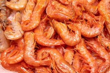 Close up photo of fresh raw shrimps in Barcelona store.