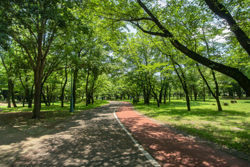 埼玉県入間市、彩の森入間公園