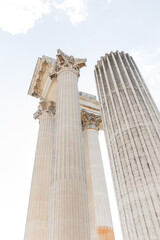 roman greek ancient architecture large columns fauna