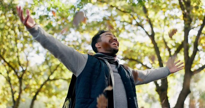 Happy, leaves and a man in nature during autumn, freedom and celebration of change in environment. Excited, travel and an Asian person with a smile in the woods or forest fall the fall season