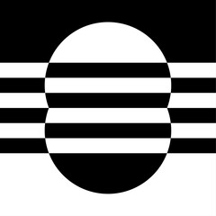 black and white checkered flag