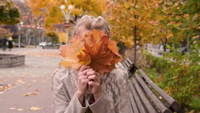 Fashionable mature blonde woman with pigtails in trendy cloathers hides face behind bouquet of yellow leaves in city park. Middle-aged woman enjoying autumn and playing hide-and-seek peeking out from 