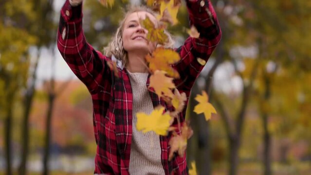 A beautiful mature woman in a red plaid shirt collects leaves in the park in autumn. A middle-aged woman plays with autumn leaves and throws them up.