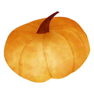 pumpkin