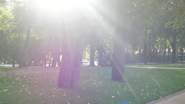 the concept of urban improvement
sunny morning in the city park
communal services clean the cobblestones using a small sweeper with cleaning brushes
the rays of the sun break through the leaves of the