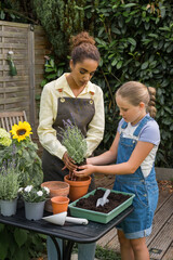 Mother and daughter planting seedling in pot