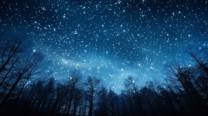 Starry night sky 