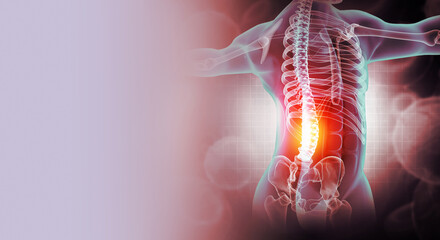 pain in the spine, pain in the back, highlighted in red, x-ray view. 3d illustration - obrazy, fototapety, plakaty