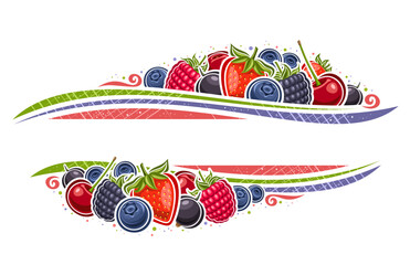 Vector border for Berries with copy space for ad text, decorative layout with illustration of garden sweet strawberry, sour cherry berry, forest blackberries, many assorted berries on white background