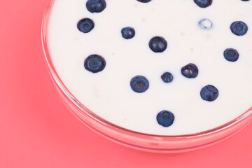 Glass bowl of yogurt with fresh blueberries on pink background.
