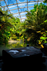 Expedition by boat through a closed jungle