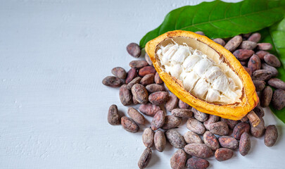 Close-up of half-ripe cacao pods and white cocoa seed with dry brown cocoa beans and green cocoa leaf