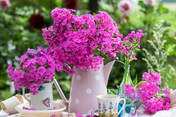 Flowers Phlox subulata in vase with white dots in nature background outdoors, summer still life with bouquet of flowers phlox