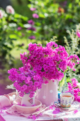 Flowers Phlox subulata in vase with white dots in nature background outdoors, summer still life with bouquet of flowers phlox
