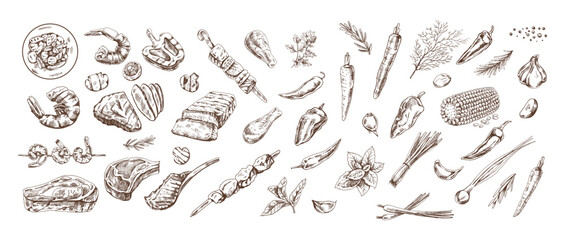 A set of hand-drawn sketches of barbecue and picnic elements. For the design of the menu of restaurants and cafes, grilled food. Doodle vintage illustration. Engraved image.