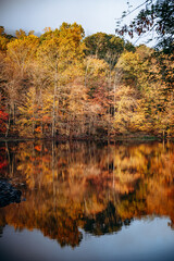 Otoño en New Jersey, Estados Unidos.