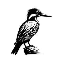 Kingfisher bird silhouette, Kingfisher bird mascot logo, Kingfisher bird Black and White Animal Symbol Design, Bird icon.	