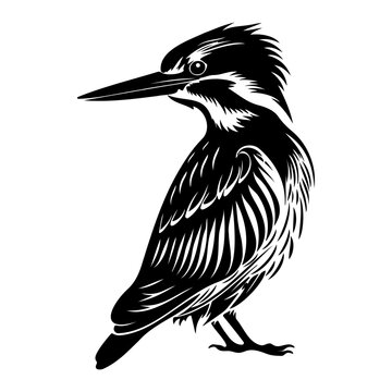 recommend clip art: Kingfisher bird silhouette, Kingfisher bird mascot logo, Kingfisher bird Black and White Animal Symbol Design, Bird icon.	