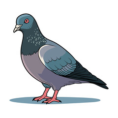Simple and adorable flat colored Pigeon illustration