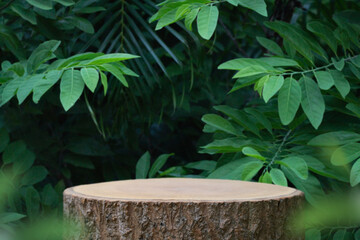 Wood tabletop counter podium floor in outdoors tropical garden forest blurred green leaf plant nature background.Natural product placement pedestal stand display,summer jungle paradise concept.