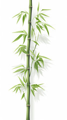 Fototapeta premium bamboo trees pattern isolated white, create using generative AI tools