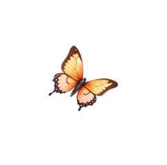 Fototapeta na wymiar butterfly2, Generative AI