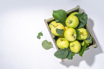 
Fresh farm organic summer green apples in small wooden box tray, top view copy space