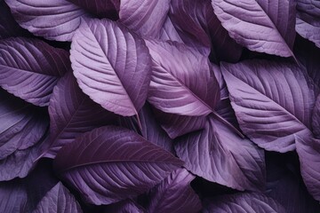 Close-up nature view of a purple leaves background, showcasing abstract leaf texture. Captivating and textured natural beauty. Generative AI
