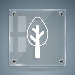 White Tree icon isolated on grey background. Forest symbol. Square glass panels. Vector