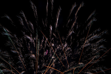 Bright fireworks on night sky