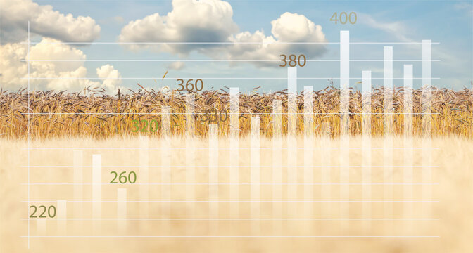 Rising Global grain and wheat and Flour prices crisis. Analytics data and growth graphs. Business candle stick graph chart. Golden wheat field with sky closeup, summer yellow soft colors. - Powered by Adobe