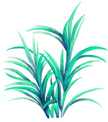 Fototapeta na wymiar Watercolor leaves isolated, green tropical elements, white background