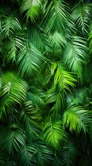 Bali style template green background, exotic tropical wall with green palm and banana leaves and atmospheric sunlight rays. - obrazy, fototapety, plakaty