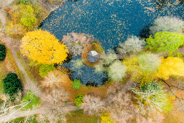Aerial colorful park scene in autumn with orange and yellow foliage.
