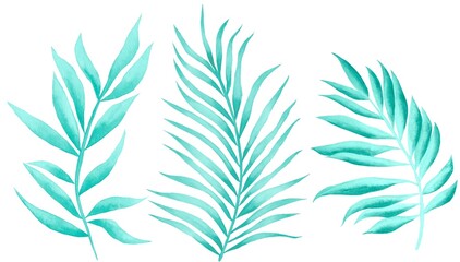 Watercolor leaves isolated, blue tropical elements, white background