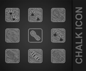 Set Human footprints shoes, Paw, and Frog paw icon. Vector