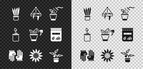 Set Plant in pot, hanging, Spraying plant, Rubber gloves, Flower, Sprout bottle and icon. Vector