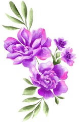 Watercolor Bouquet of flowers, isolated, white background, purple roses and green leaves