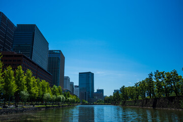 Fototapeta premium 夏の青空と高層ビル群