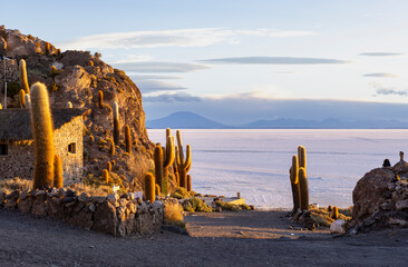 Isla Incahuasi at sunset with view on the biggest salt lake in the world, the Salar de Uyuni in the Bolivian highlands, the Altiplano in South America