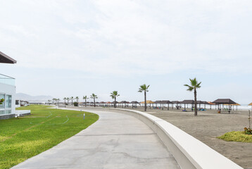 borde de playa privada con palmeras en la orilla - obrazy, fototapety, plakaty