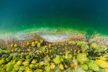 Fototapeta na wymiar Aerial view of beautiful green waters of lake Gela. Birds eye view of scenic emerald lake surrounded by pine forests. Clouds reflecting in Gela lake, near Vilnius, Lithuania.