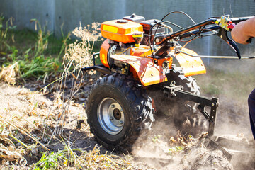 Obraz premium A summer resident plows a garden with potatoes with a walk-behind tractor in the fall during the harvest. Copy space for text