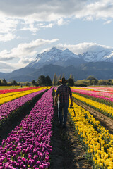 A person walk trough flower fileds in the Patagonia with mountains behind with a beautiful cloudy sky