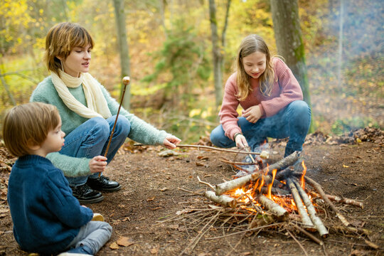 Children Roasting Marshmallows On Sticks At Bonfire. Children Having Fun At Camp Fire. Camping With Kids In Fall Forest. Family Leisure At Autumn.