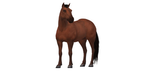 Horse isolated on a Transparent Background