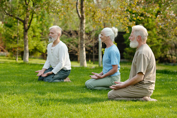 Fototapeta premium Side view of tranquil senior people sitting in yoga pose on green lawn while exercising in the morning in the garden of retirement home