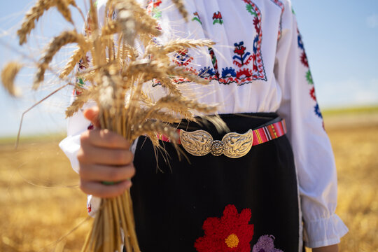 Girl in traditional ethnic folklore costume with Bulgarian embroidery standing on a harvest golden wheat field