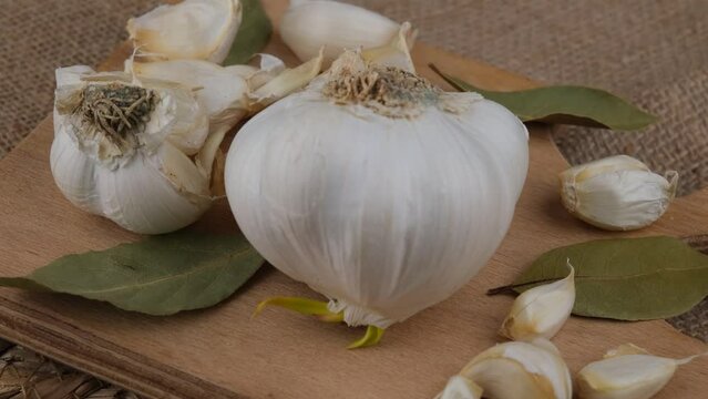 garlic
